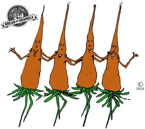 The dancing carrots interview