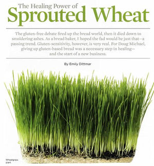 The healing power of sprouted wheat - the article