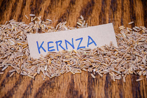 Sprouted Kernza* perennial grain flour - 15 oz - POS