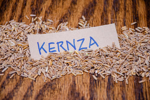 sprouted kernza* perennial grain flour - 15 oz - POS